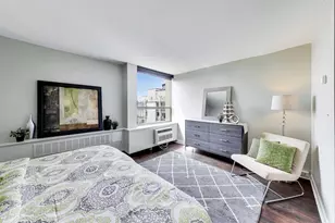 1355 N Sandburg Terrace, Chicago, IL 60610 - Photo 13