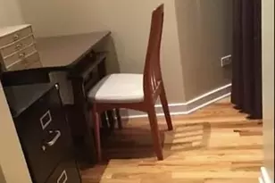 1151 W 15th St, Chicago, IL 60608 - Photo 11