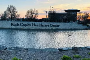 807 Alexandra Ln, Yorkville, IL 60560 - Photo 23