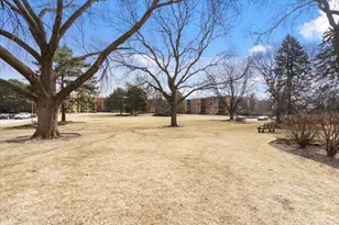 1405 E Central Rd, Arlington Heights, IL 60005 - Photo 35