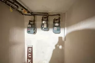 7316 S Lowe Ave, Chicago, IL 60621 - Photo 9