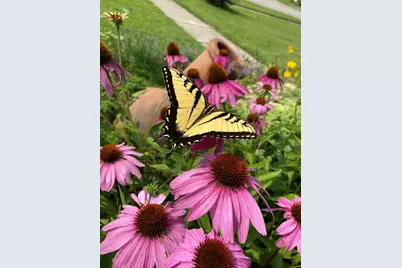 210 6th Street, Mendota, IL 61342 - Photo 21