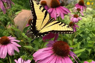 210 6th St, Mendota, IL 61342 - Photo 21