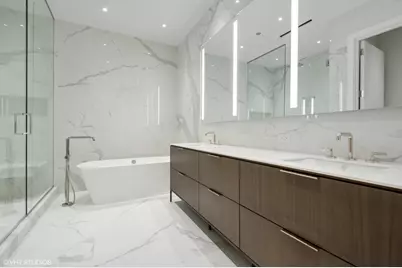 14 W Superior Street #5401, Chicago, IL 60654 - Photo 17