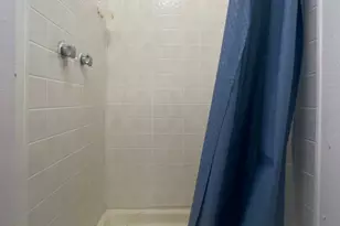 1109 W 4th St, Delavan, IL 61734 - Photo 33