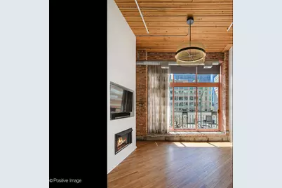 360 W Illinois Street #231, Chicago, IL 60654 - Photo 3