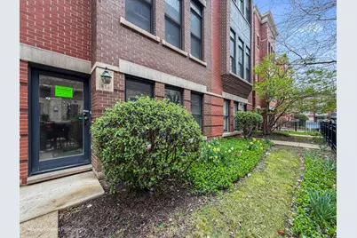 814 W 15th Place, Chicago, IL 60608 - Photo 11