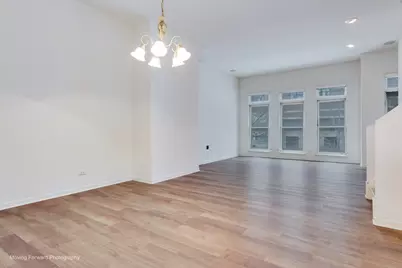 814 W 15th Place, Chicago, IL 60608 - Photo 19