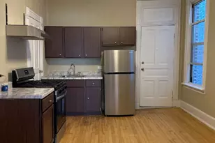 862 N Hermitage Ave, Chicago, IL 60622 - Photo 3