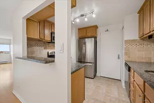 1415 N Dearborn St, Chicago, IL 60610 - Photo 11