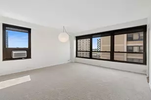 5050 S East End Ave, Chicago, IL 60615 - Photo 9