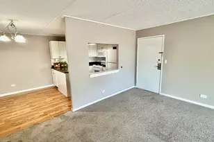 5S070 Pebblewood Ln, Naperville, IL 60563 - Photo 7