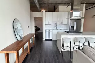 50 E 16th St, Chicago, IL 60616 - Photo 19