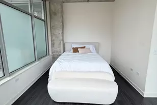 50 E 16th St, Chicago, IL 60616 - Photo 17