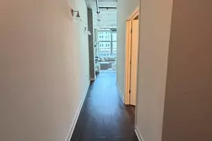 50 E 16th St, Chicago, IL 60616 - Photo 11