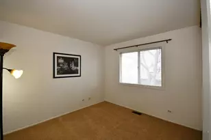 358 Thistle Dr, Bolingbrook, IL 60490 - Photo 11