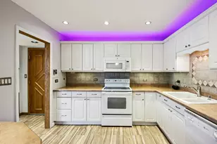 527 W Eastman St, Arlington Heights, IL 60005 - Photo 11