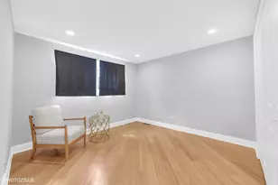 345 W Swann St, Chicago, IL 60609 - Photo 19