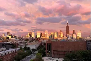 6 S Laflin St, Chicago, IL 60607 - Photo 25