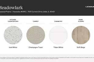 7513 Blueblossom Ln, Joliet, IL 60431 - Photo 23