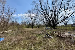 2313 N Bowman Ave, Danville, IL 61834 - Photo 3