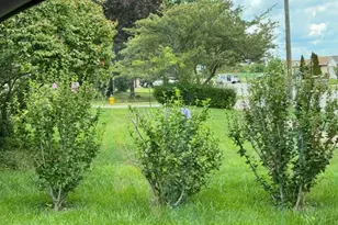 856 Quail Dr, Bradley, IL 60915 - Photo 41