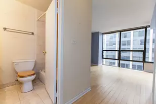 230 E Ontario St, Chicago, IL 60611 - Photo 9