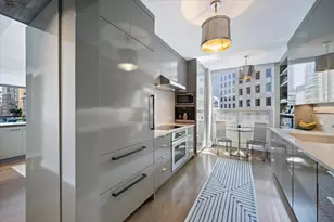 1000 N Lake Shore Plaza, Chicago, IL 60611 - Photo 23