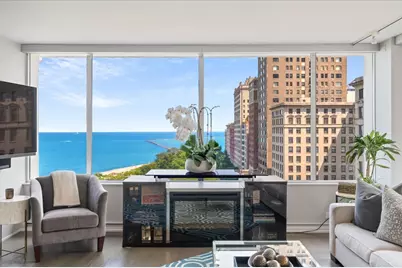 1000 N Lake Shore Plaza #12B, Chicago, IL 60611 - Photo 11