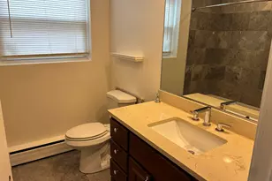 5555 N Mango Ave, Chicago, IL 60630 - Photo 13