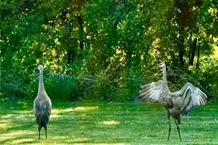 635 Signal Hill Rd, North Barrington, IL 60010 - Photo 61