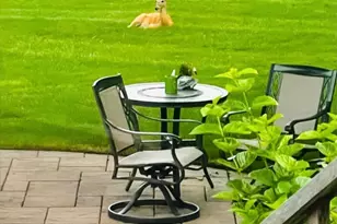 635 Signal Hill Rd, North Barrington, IL 60010 - Photo 63