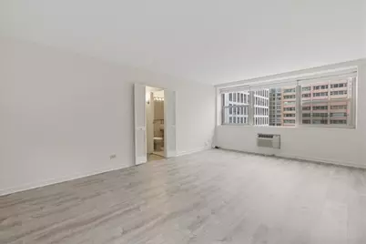 253 E Delaware Place #12H, Chicago, IL 60611 - Photo 3
