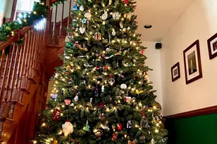 6883 W Hobart Ave, Chicago, IL 60631 - Photo 9