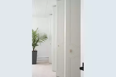 1001 N Mill Street #203, Naperville, IL 60563 - Photo 17