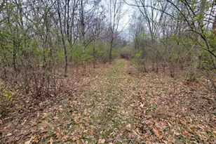 2569 E 22nd Rd, Marseilles, IL 61341 - Photo 37