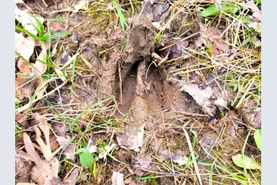 2569 E 22nd Road, Marseilles, IL 61341 - Photo 15