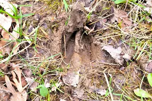 2569 E 22nd Rd, Marseilles, IL 61341 - Photo 15