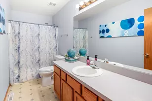 26258 Squire Ln, Channahon, IL 60410 - Photo 15