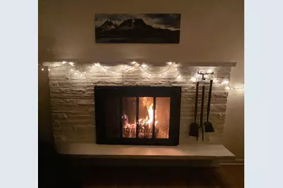 220 S President Street, Wheaton, IL 60187 - Photo 3