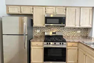 125 Capella Ct, Lake in the Hills, IL 60156 - Photo 3