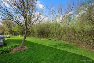 1567 Haines Dr, Batavia, IL 60510 - Photo 45