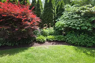 846 W Downer Pl, Aurora, IL 60506 - Photo 5
