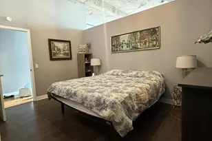 320 E 21st St, Chicago, IL 60616 - Photo 11