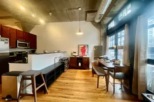 1151 W 15th St, Chicago, IL 60608 - Photo 7