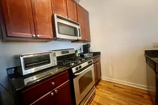 1151 W 15th St, Chicago, IL 60608 - Photo 9