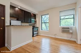 1430 N Dearborn Pkwy, Chicago, IL 60610 - Photo 5