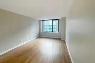 [Address not provided], Chicago, IL 60611 - Photo 7