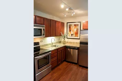 222 E Pearson Street #503, Chicago, IL 60611 - Photo 5