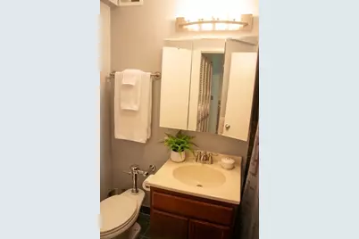222 E Pearson Street #503, Chicago, IL 60611 - Photo 9